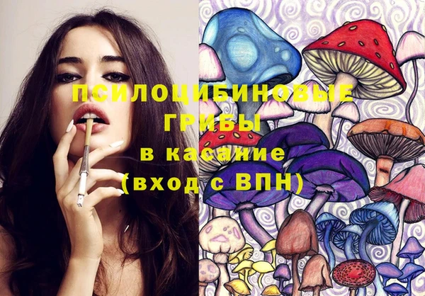 спайс Нягань