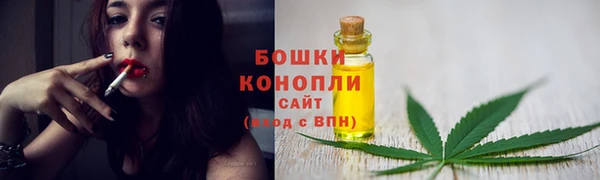 экстази Гусь-Хрустальный