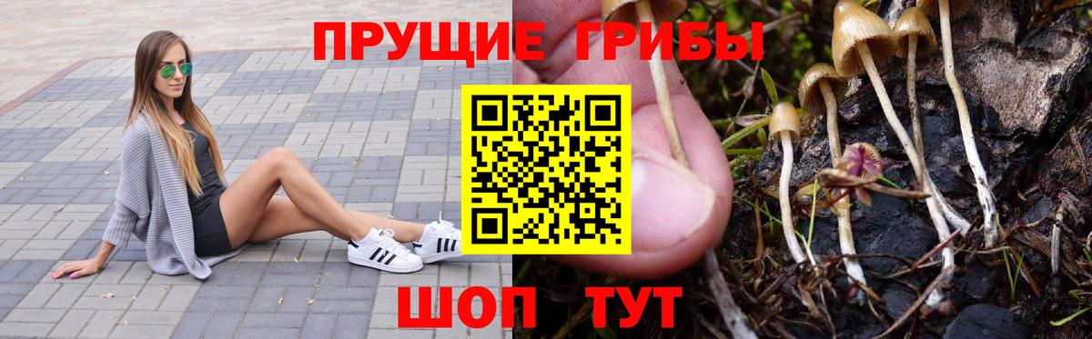 цены наркотик  Белебей  Псилоцибиновые грибы Psilocybe  Псилоцибиновые грибы MAGIC MUSHROOMS 